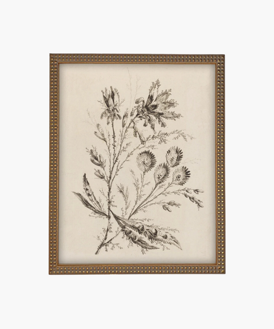 Black and white botanical illustration of delicate flowers and leaves in an ornate gold frame in a beaded gold frame, conveying a vintage and elegant aesthetic.