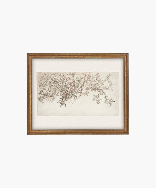 An elegant painting of a leafy branch with small fruits, delicately sketched in soft colors. Framed in ornate gold, it conveys a serene, organic vibe.