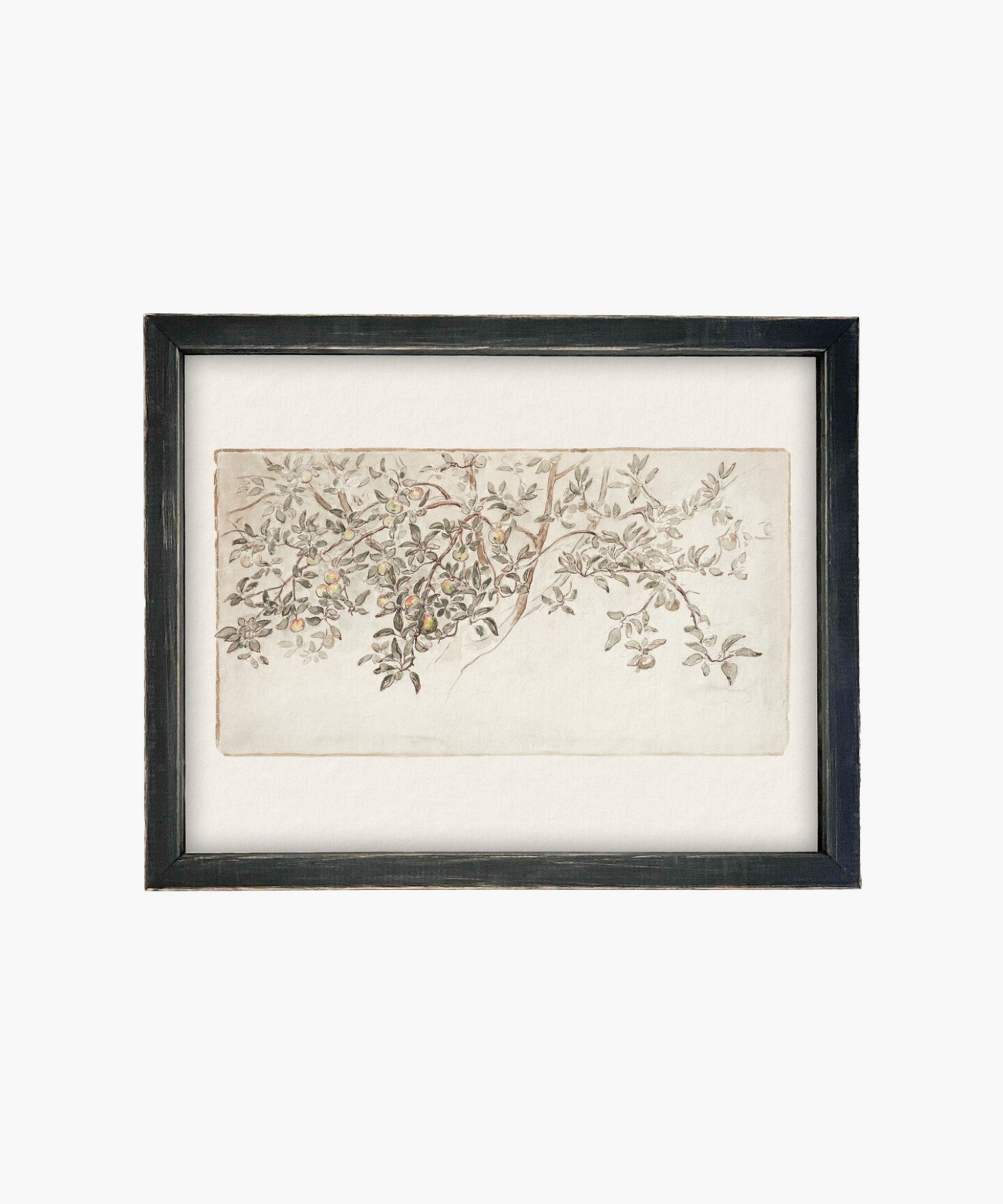 An elegant painting of a leafy branch with small fruits, delicately sketched in soft colors. Framed in black, it conveys a serene, organic vibe.