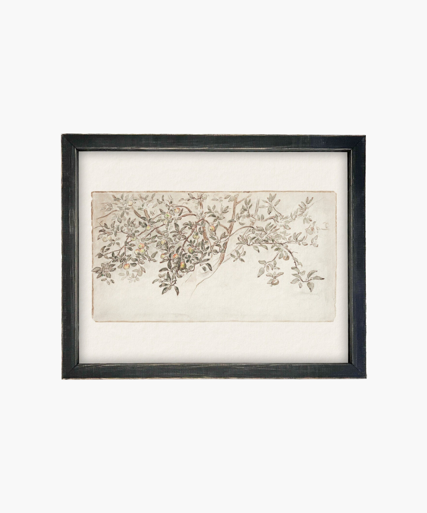 An elegant painting of a leafy branch with small fruits, delicately sketched in soft colors. Framed in black, it conveys a serene, organic vibe.