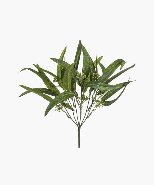 A cluster of elongated, glossy green leaves with small, delicate buds on slender stems. The image conveys freshness and simplicity.