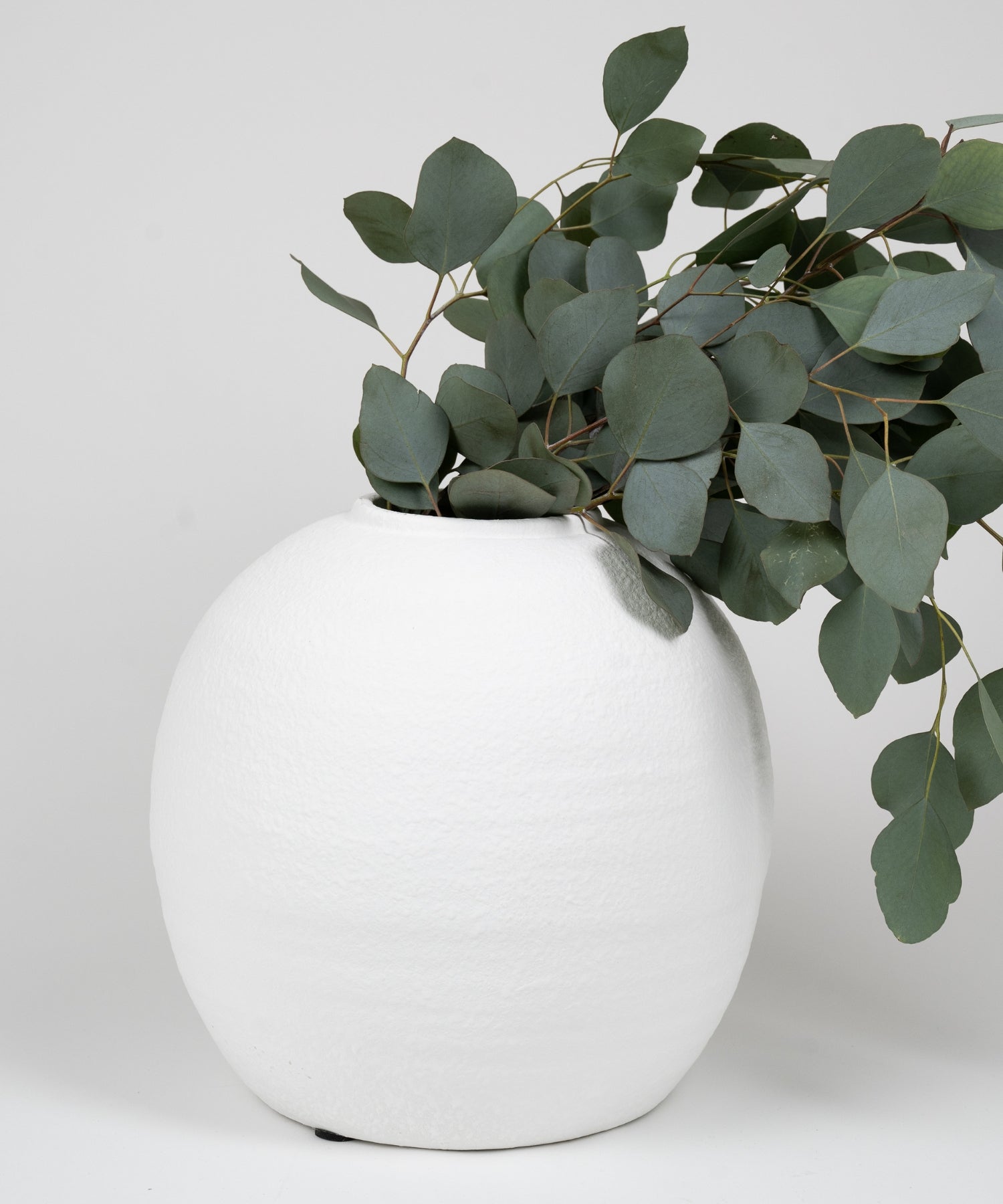 A round bellied cement vase with a  textural white matte finish styled with greenery. 