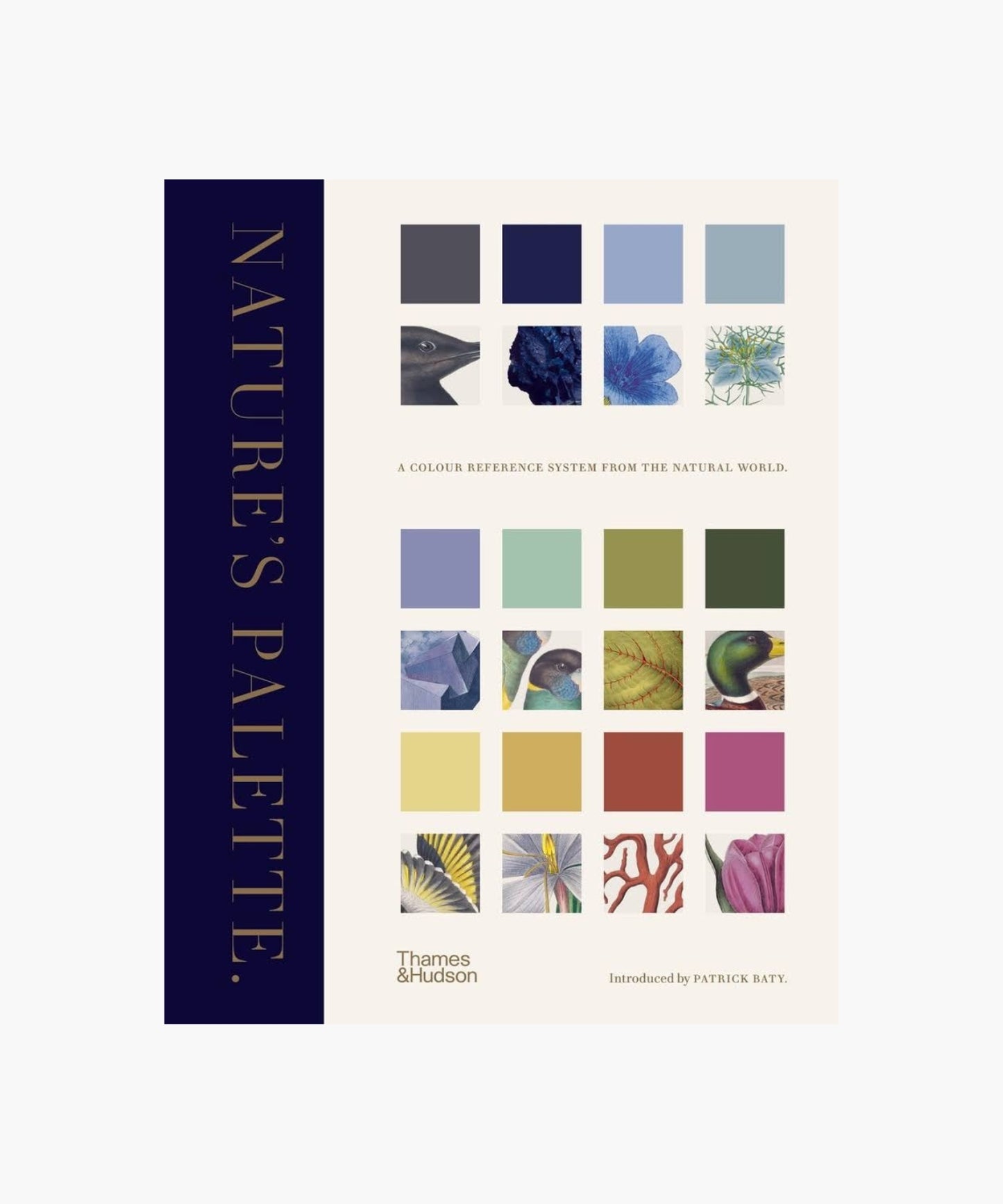 The cover of the book "Nature's Palette" by Thames & Hudson features a grid of color swatches with natural elements, conveying a harmonious, artistic theme.