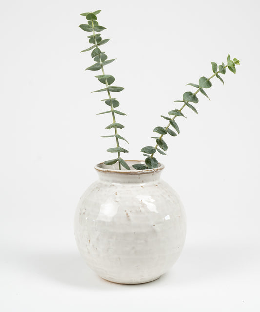 Ceramic round-bellied pot with a white glaze.