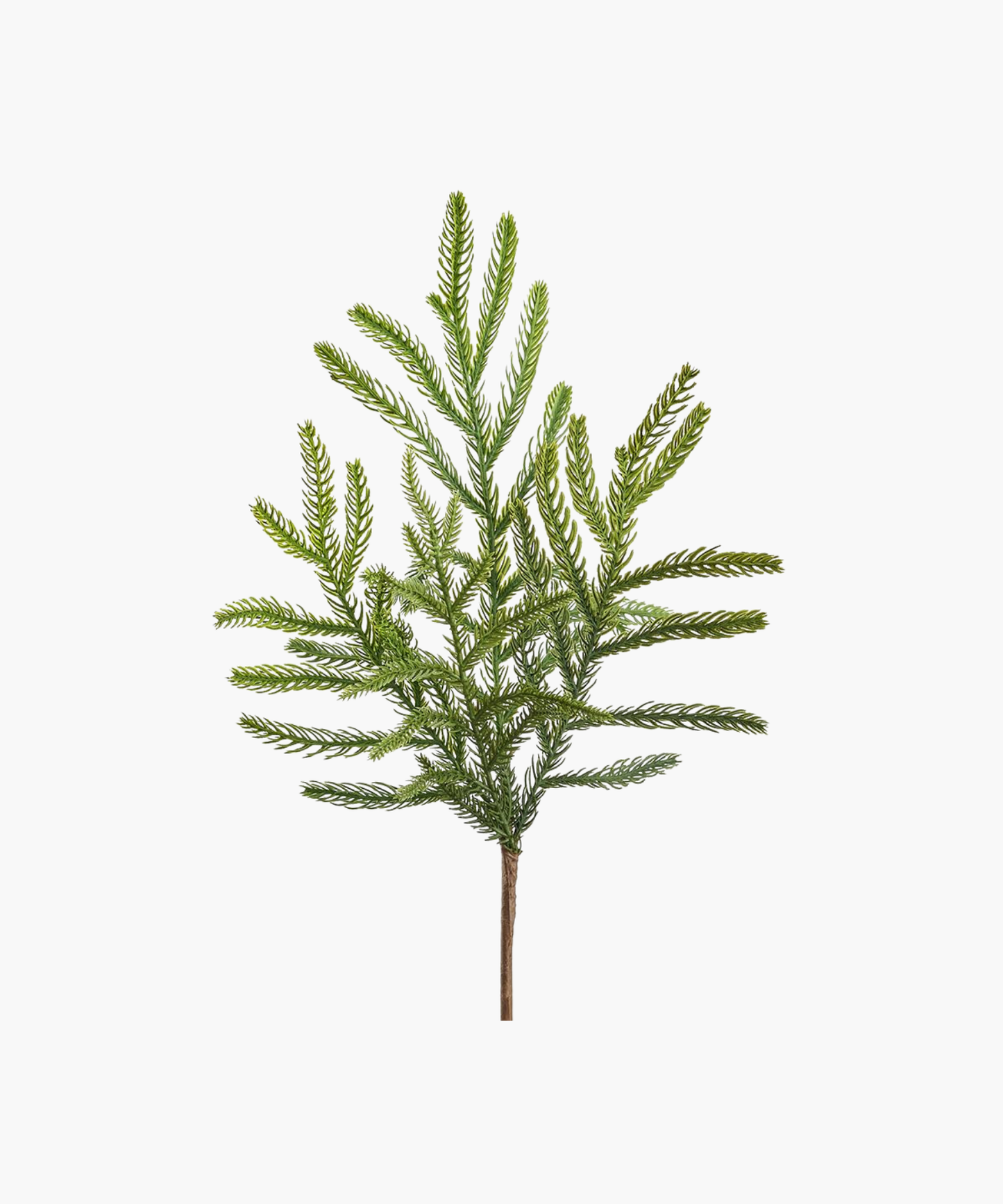 Soft Willow Pine Spray, 20"