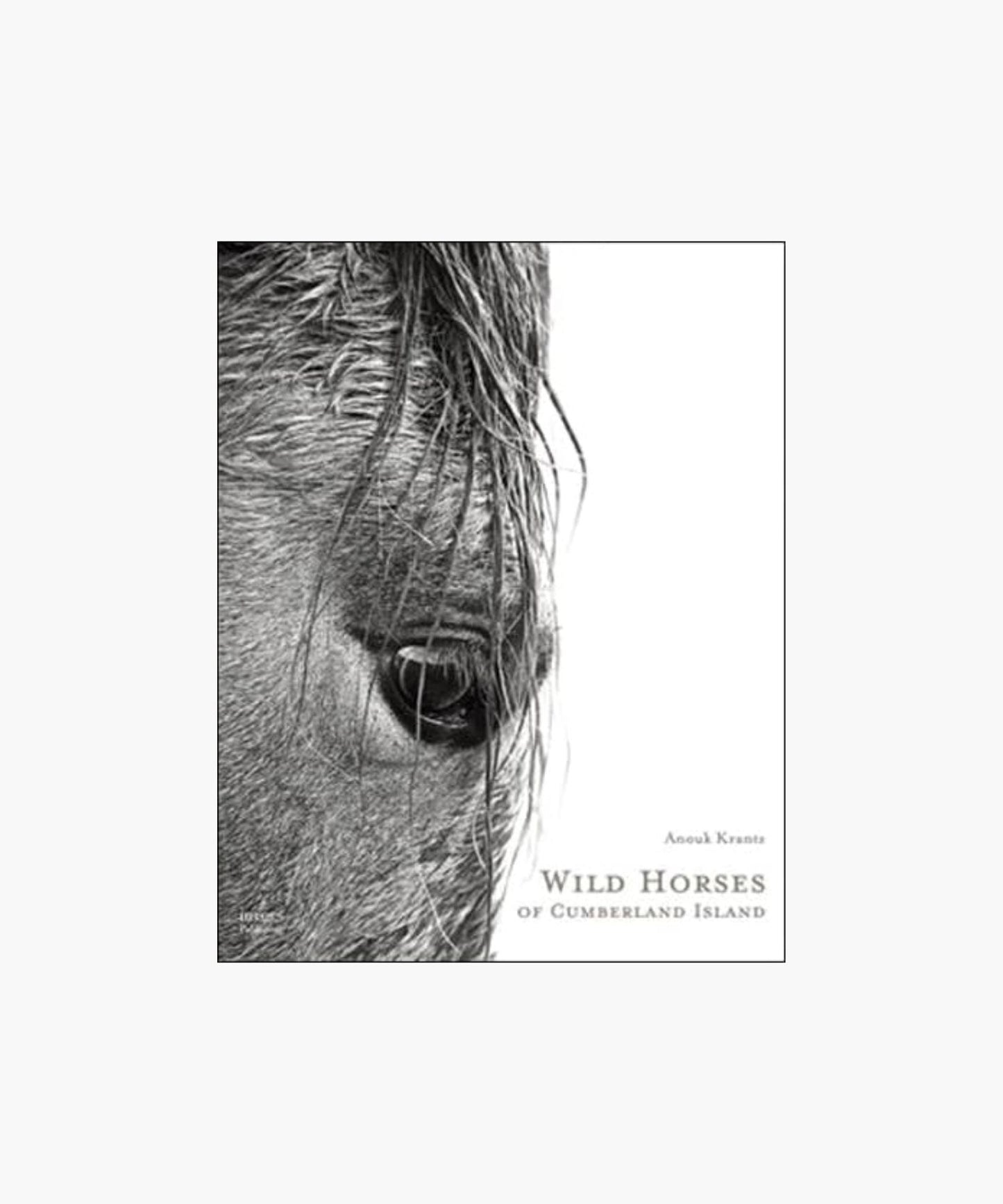 The cover of the book "Wild Horses of Cumberland Island" by Anouk Krantz features a close-up black-and-white photo of a horse's eye with its mane hanging down. The image exudes a serene and mysterious tone.